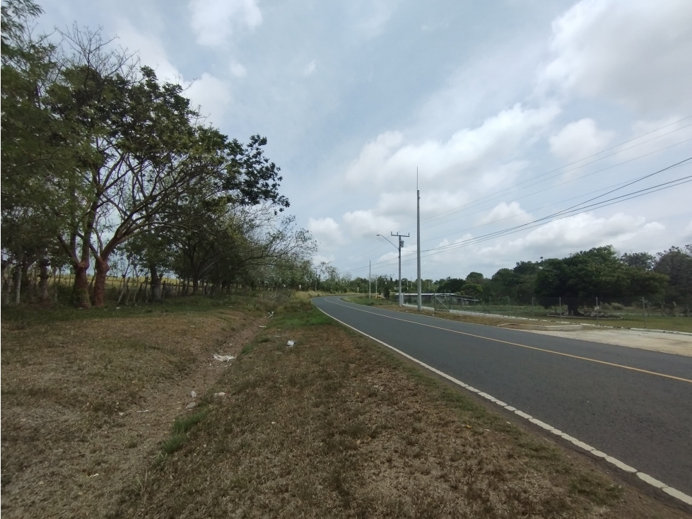 Se Vende Finca de 16 Has en Llanito Verde La Chorrera (DR) - 2
