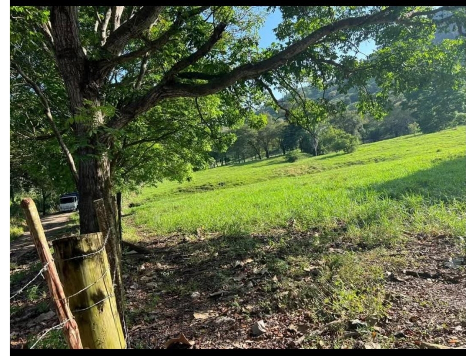 Se Vende Finca de 16 Has en Monte Oscuro La Chorrera (DR) - 1