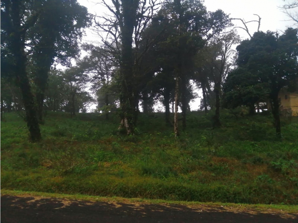 Se Vende Terreno Altos de Maria- La Chorrera (DR) - 2