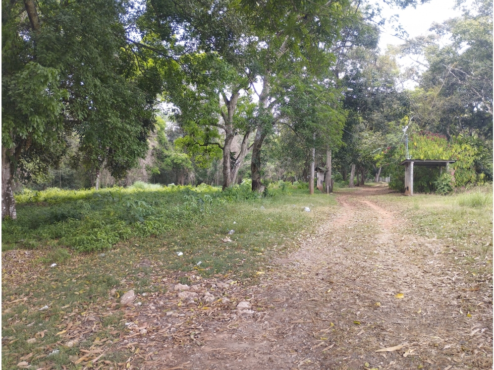 Se Vende Terreno en el Espino-La Chorrera (DR) - 3