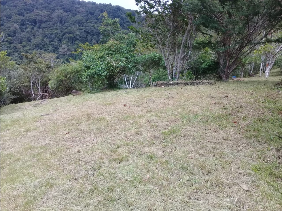 Se Vende Lote en Chica Panamá Oeste (DR) — foto 2