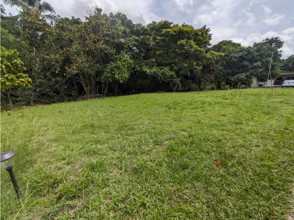 Se Alquila Casa comercial en La Chorrera - 3