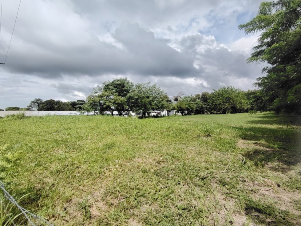 Lote Comercial en venta en Santa Clara-Coclé (DR) - 1