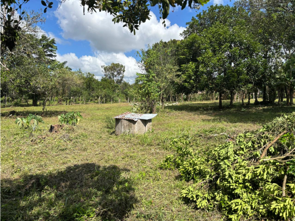 Venta de terreno comercial de 7,637m2 en Bugaba, Chiriquí (DR) - 4