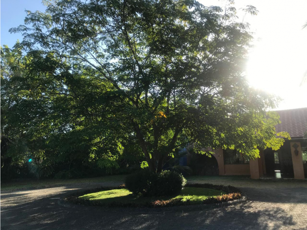 Finca en venta de 4 Has para vivienda o uso comercial-Coronado (DR) — foto 3