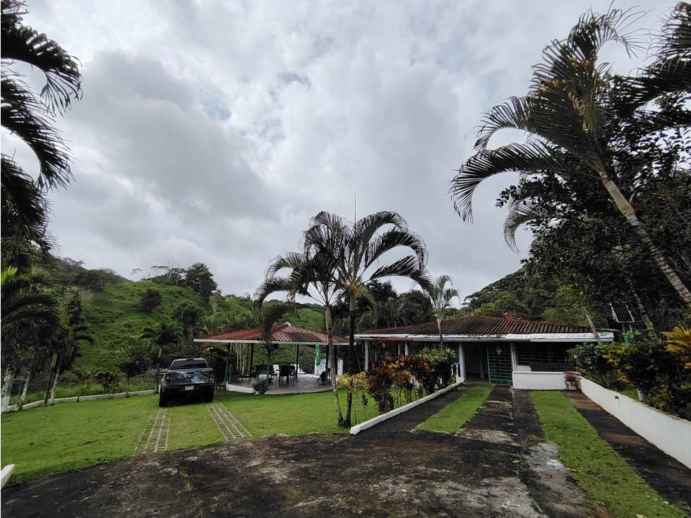 Se Vende Finca de 12 Has en Capira Trinidad con Casa Campestre (DR) - 2