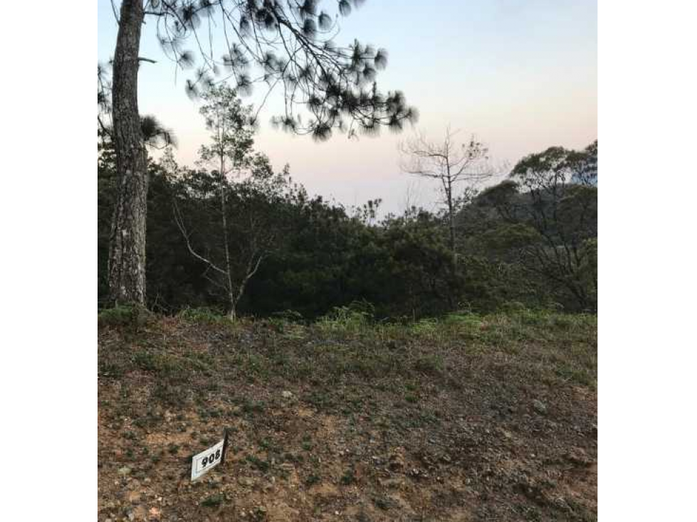 Se Vende Terreno Altos de María 1541.79 Mt2 Titulado - 5