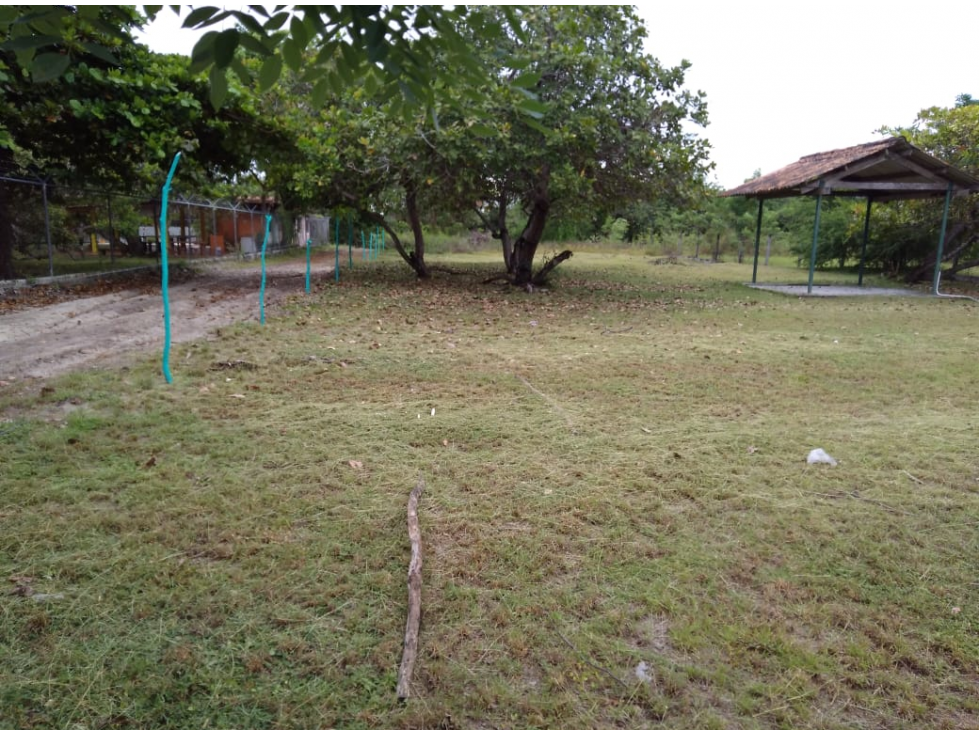 Se Vende Terreno de 1000m2 en Gorgona — foto 3