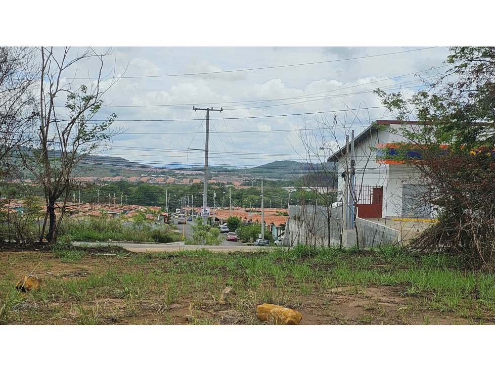Se Vende Terreno Comercial de 5000 mt2 Panamá Oeste - 2