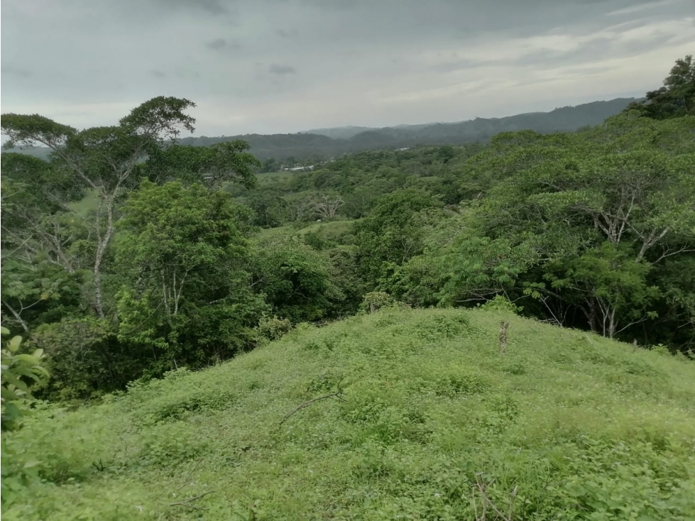 Terreno en venta 50 Has-Cañita de Chepo (BO) - 1