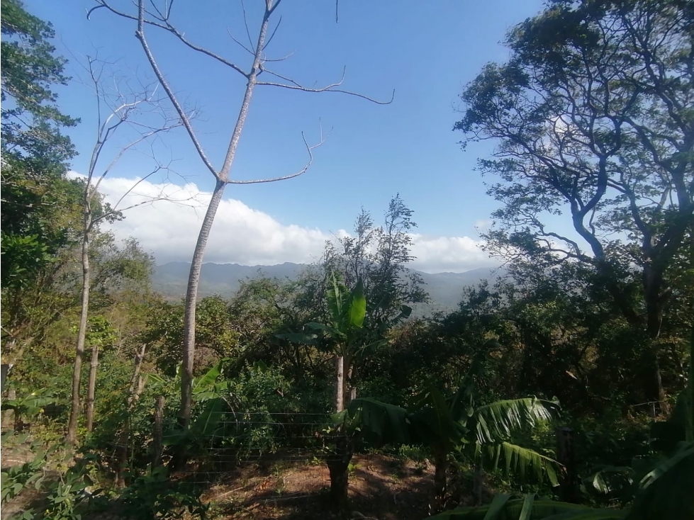 Se Vende Finca de 10 Has. en Sorá de Chame (H) - 2
