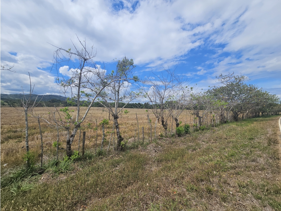 Se Vende Finca de 1796 Hectáreas en Santiago Veraguas - 6