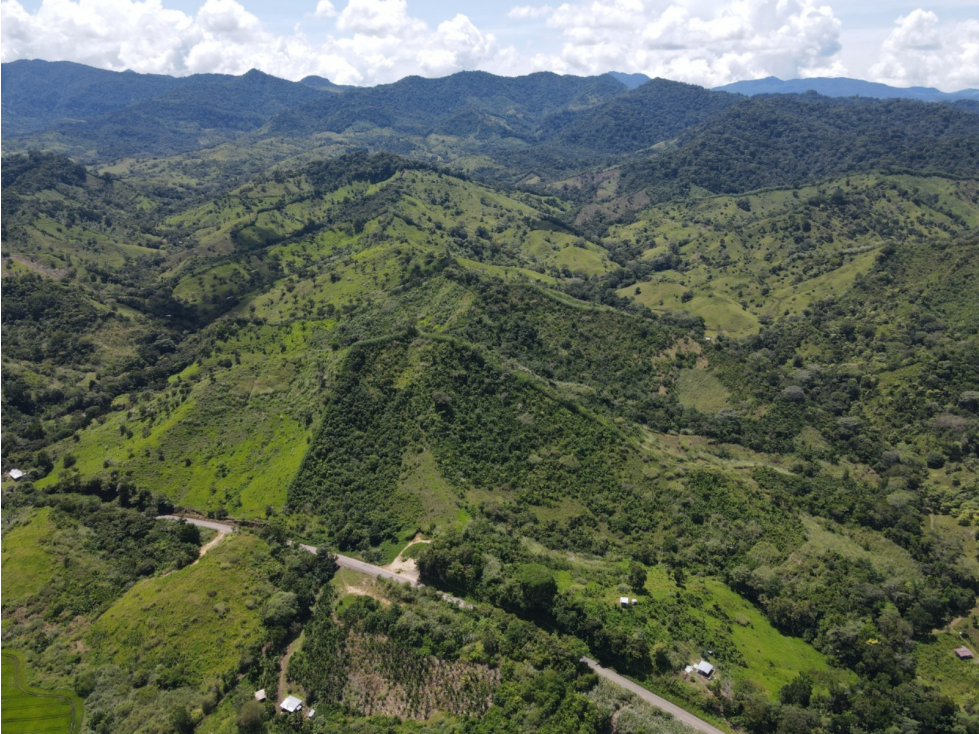 Se Vende Finca de 253 Ha. en Chepo (H) - 5