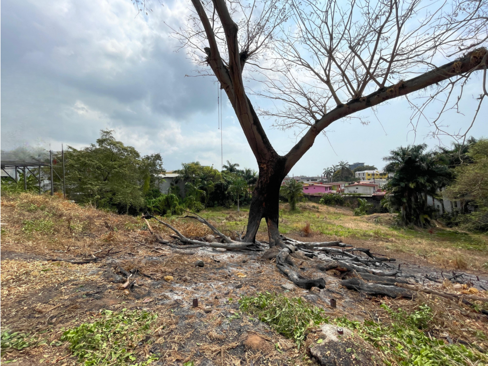 Se alquila terreno comercial en Ave de los Mártires - Santa Ana (DR) — foto 2