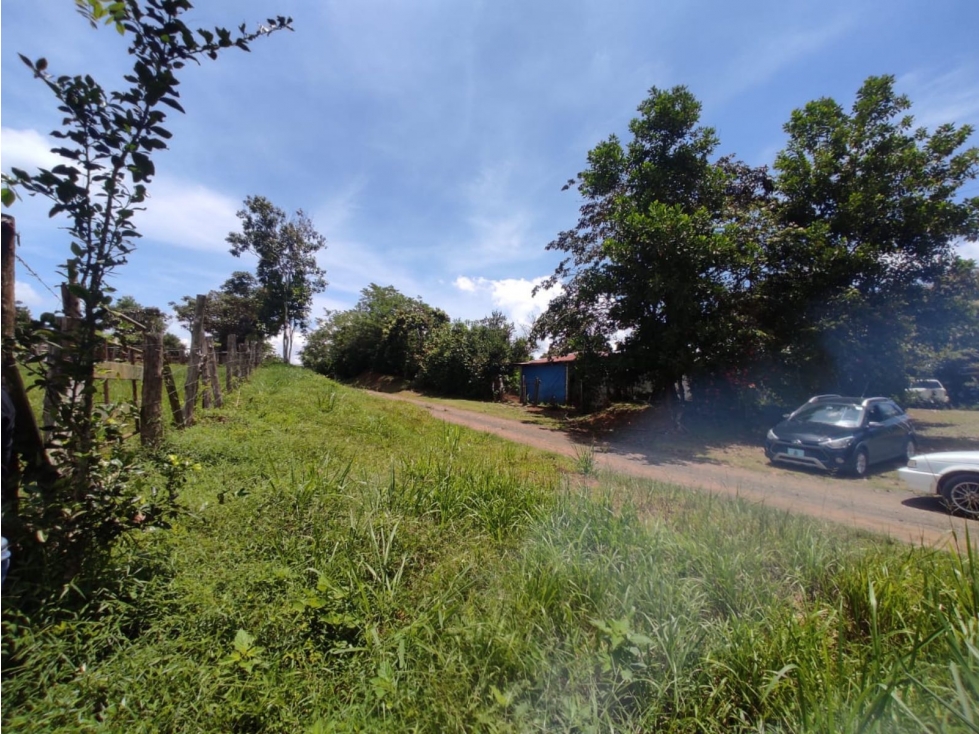 Se vende finca de 6.5 hectáreas en La Colorada, Chorrera - 4