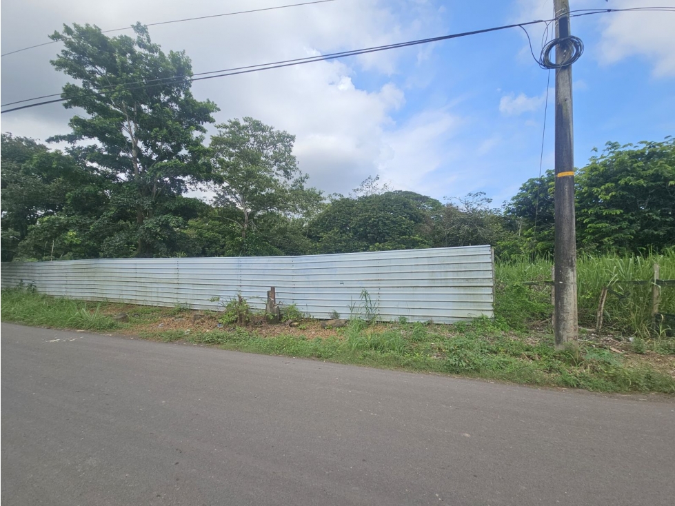 Se vende finca de 4 has. comercial o residencial en Puerto Caimito - 4