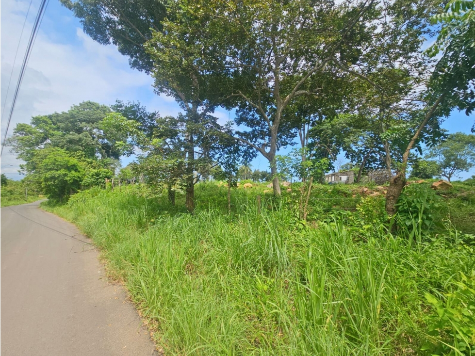 Se Vende Finca de 4.8 has comercial en La Chorrera, Puerto Caimito - 4