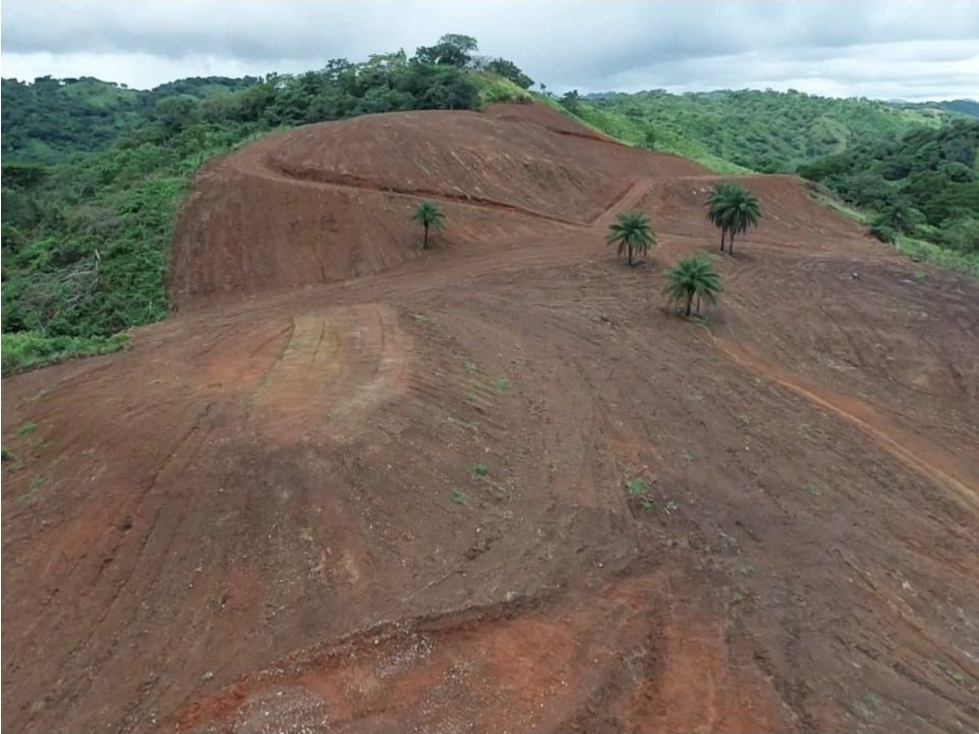 Se vende finca de 5 has con proyecto completo en Pedasí - 4