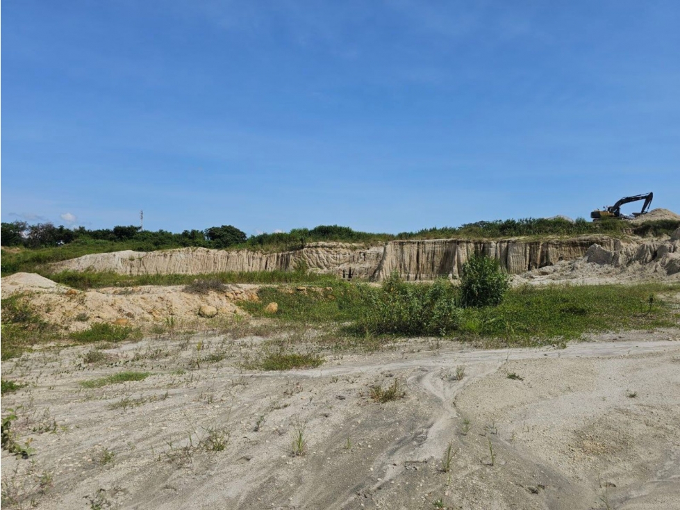 Se vende finca de 10 hectáreas en Penonomé, Vía Cañaveral - 4