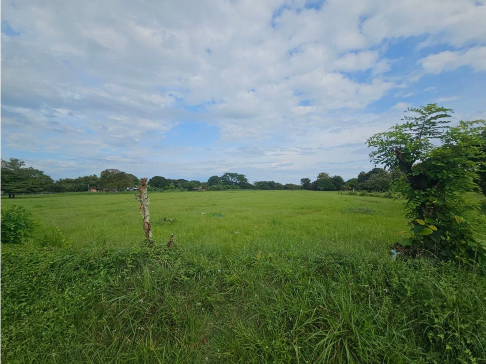 Se vende finca de 2.8 hectáreas en Llano Marin, Penonomé - 4