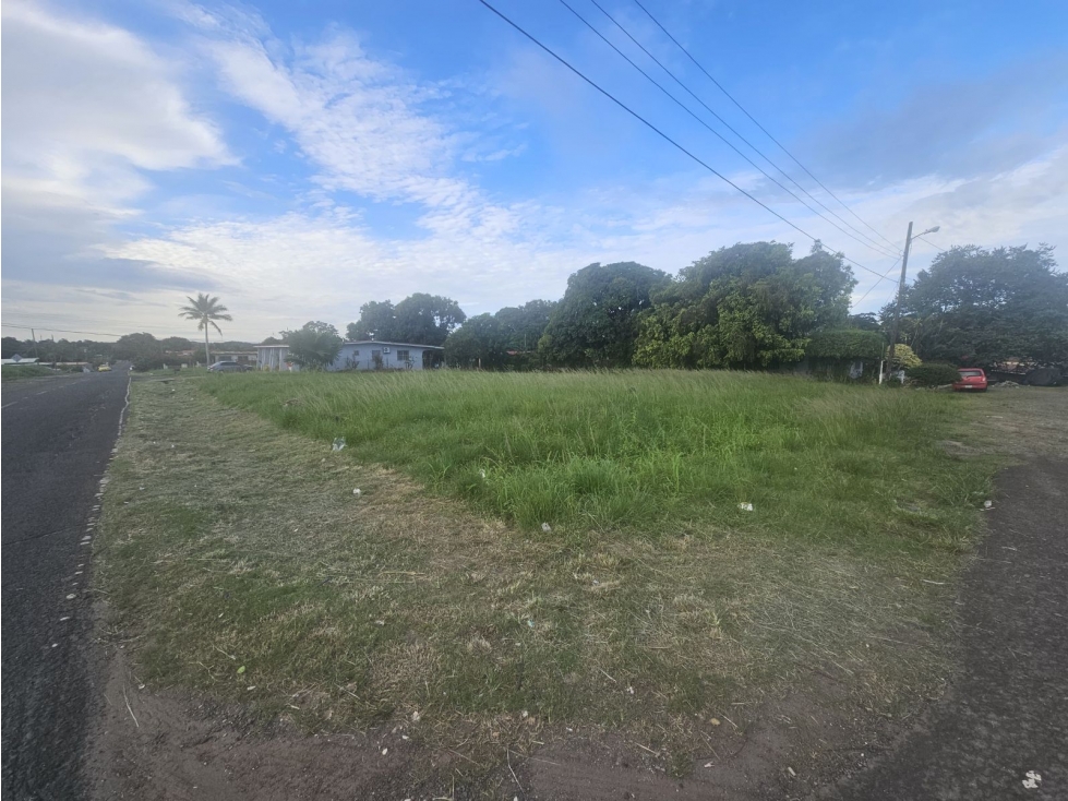 Se Vende Terreno en Panamá Oeste Titulado de 1251.25mt2 - 3