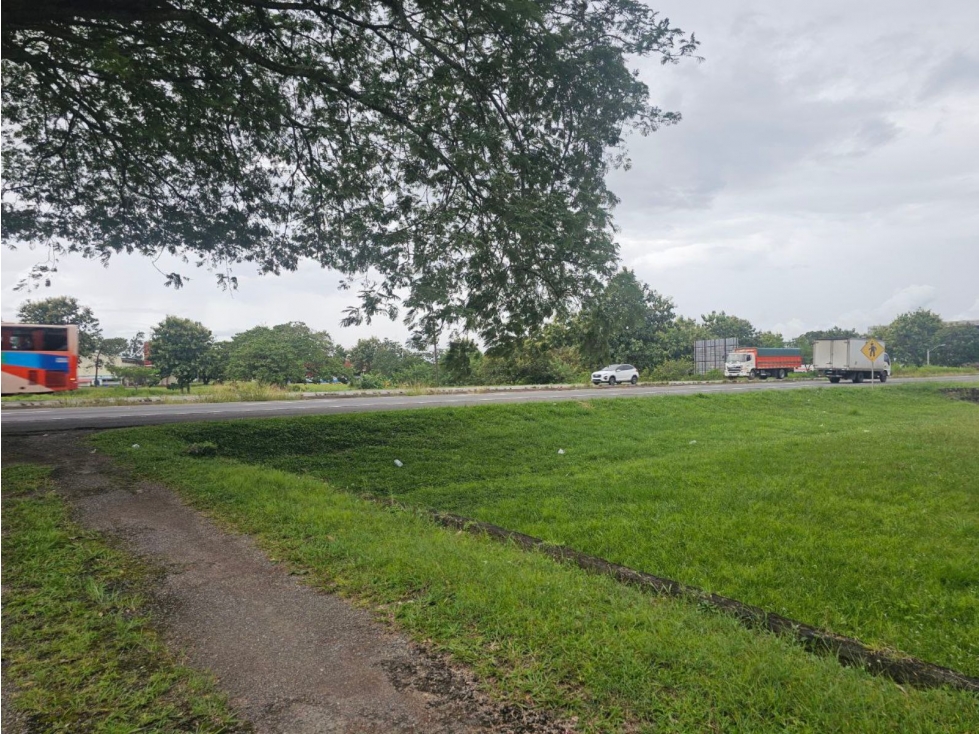 Se vende finca comercial en Penonomé de 1.4 has. - 4