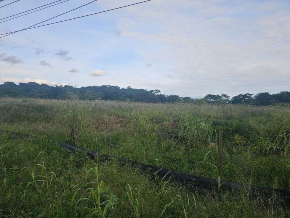 Se venden lotes comerciales en Interamericana, La Chorrera - 4