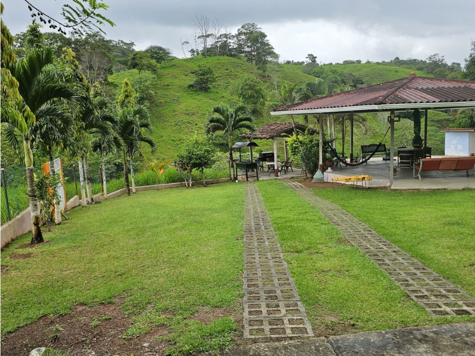 Se Vende Finca de 12 Has en Capira Trinidad con Casa Campestre (DR) - 4