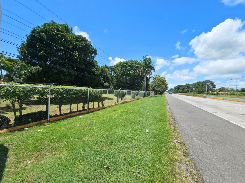 Se Vende Finca 8 Has con Casas de Hospedaje y Piscina en Río Hato (DR) - 4