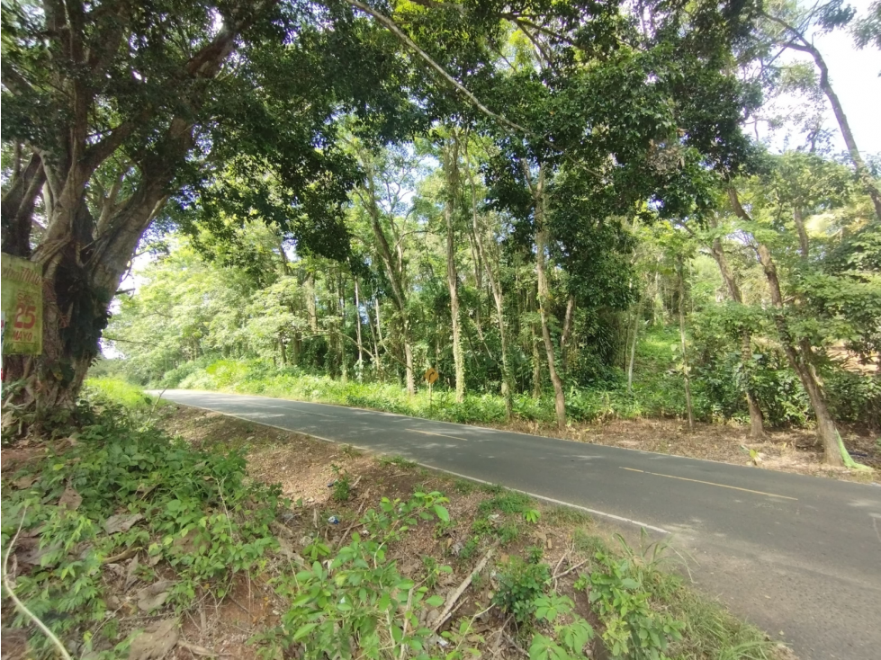 Se Vende Finca Comercial de 10 HAS El Espino- Vía Santa Rita (DR) - 4