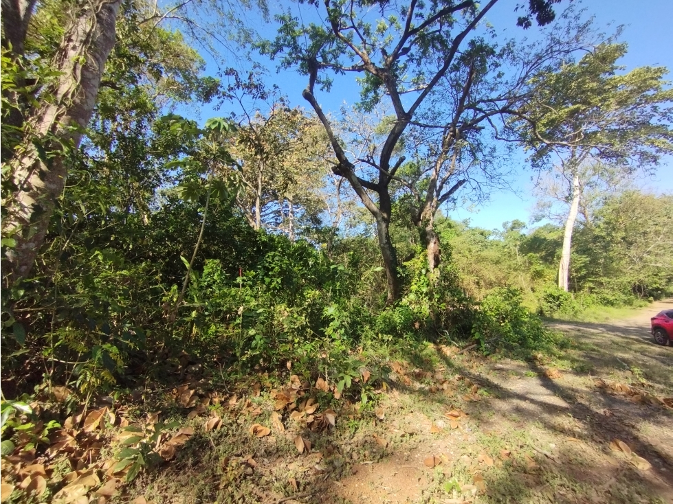 Se Vende Finca Comercial de 1.1 HAS-Chorrera (DR) - 6