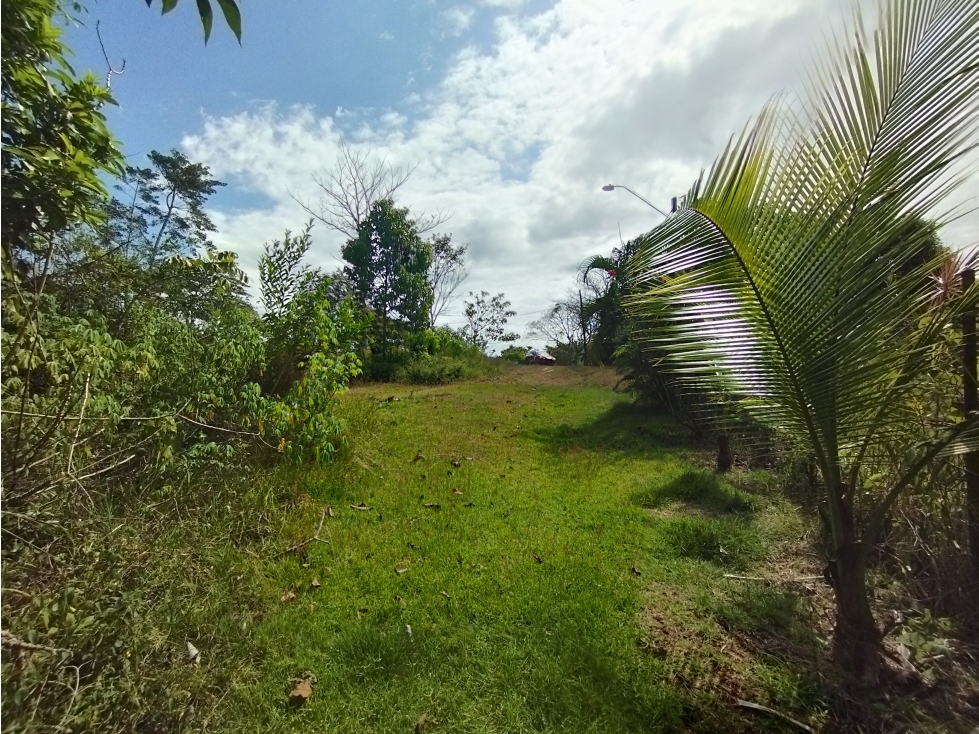Se Vende Terreno de 4.700m2 en Potrero Grande-La Chorrera (DR) - 2