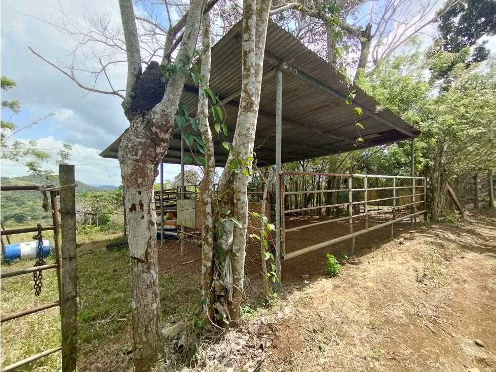 Se Vende Finca de 15 HAS el Lirio Arraijan (DR) — foto 6
