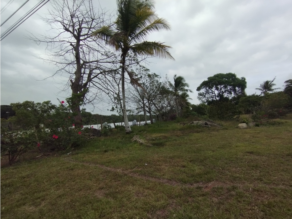 Se Vende Finca de 28.290m2 en Cerro Cama La Chorrera (DR) - 6