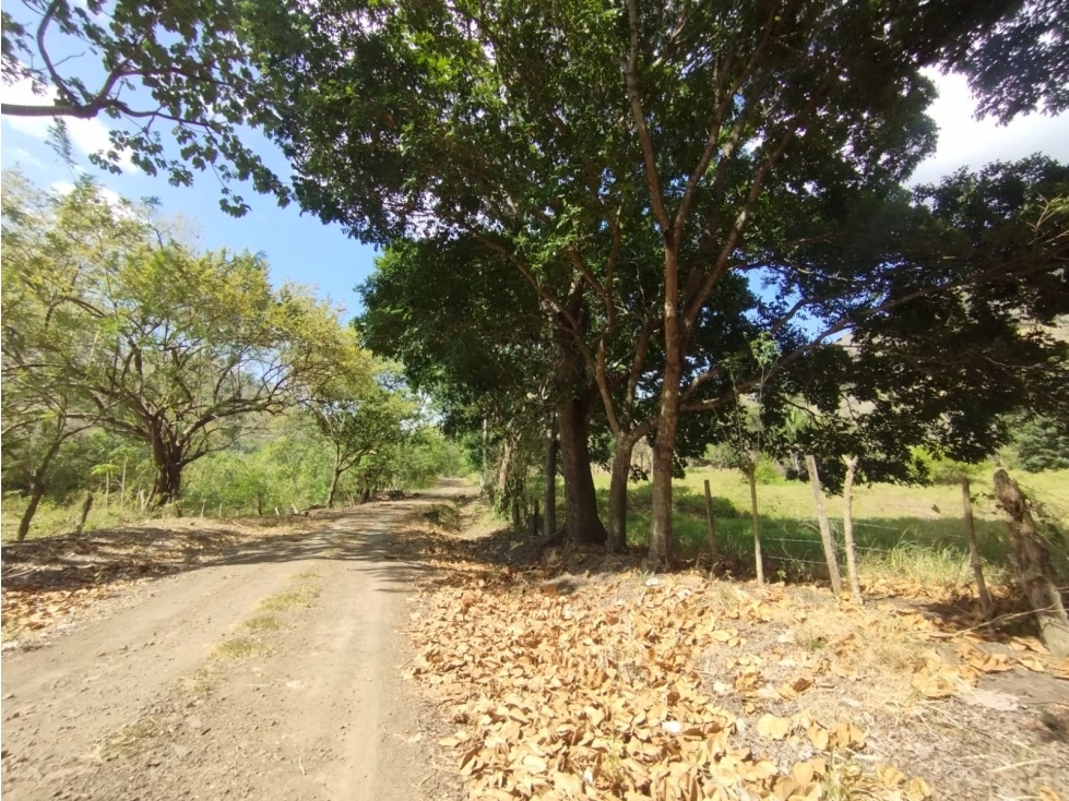 Se Vende Finca de 16 Has en Monte Oscuro La Chorrera (DR) - 3