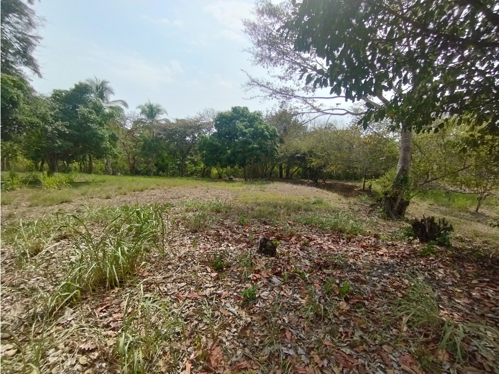 Se Vende Terreno Comercial en Interamericana Rio Hato-San Carlos (DR) - 1