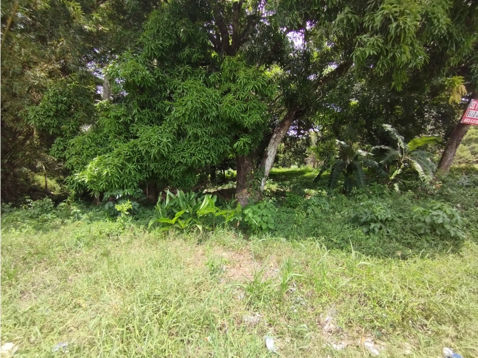 Se Vende Terreno en el Espino-La Chorrera (DR) - 4