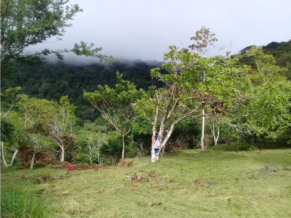 Se Vende Lote en Chica Panamá Oeste (DR) — foto 3