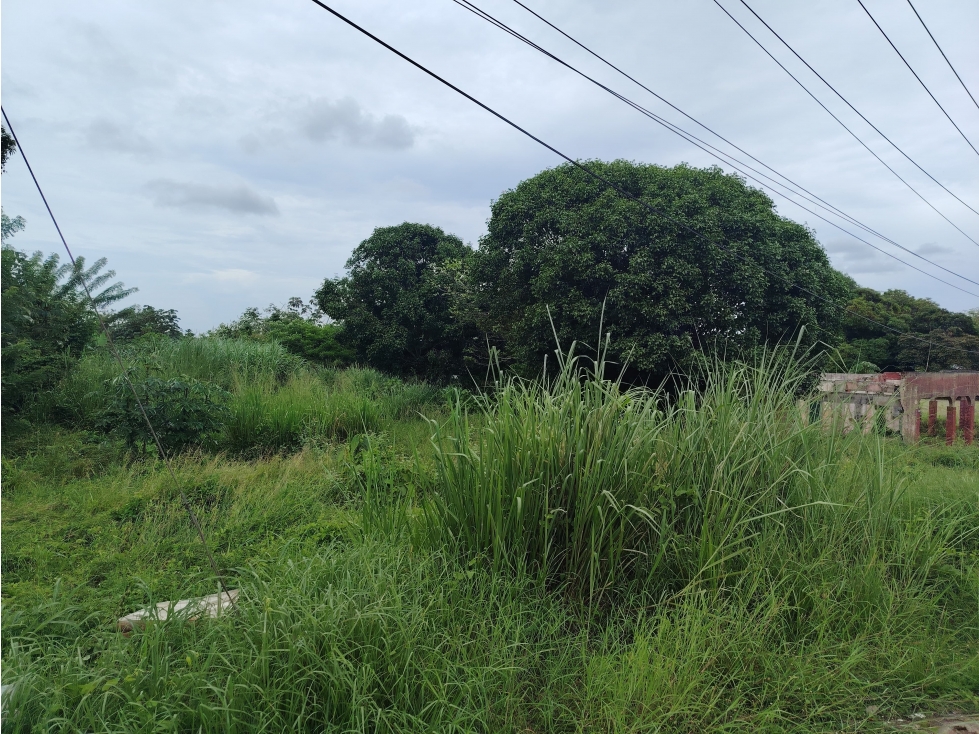 Se Vende Terreno de 1246 mts2 El Coco-La Chorrera (DR) - 4