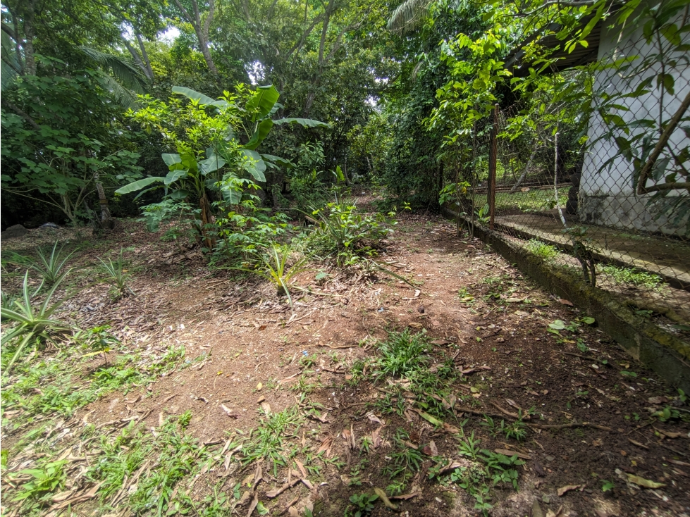 Se Alquila Casa comercial en La Chorrera - 4