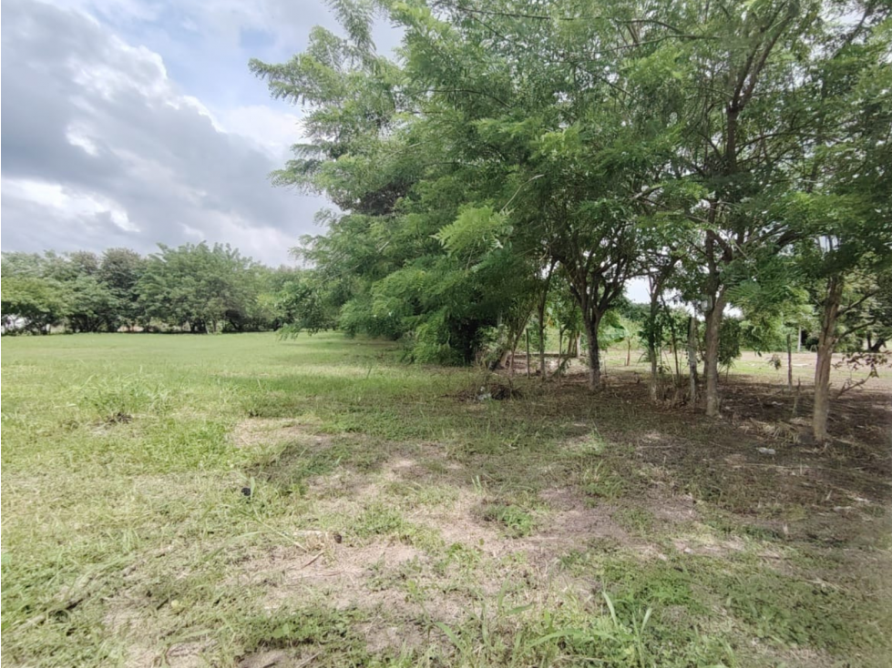 Lote Comercial en venta en Santa Clara-Coclé (DR) - 5