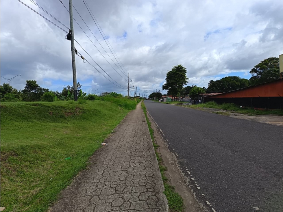 Terreno en venta o alquiler con galera en La Chorrera (DR) — foto 4