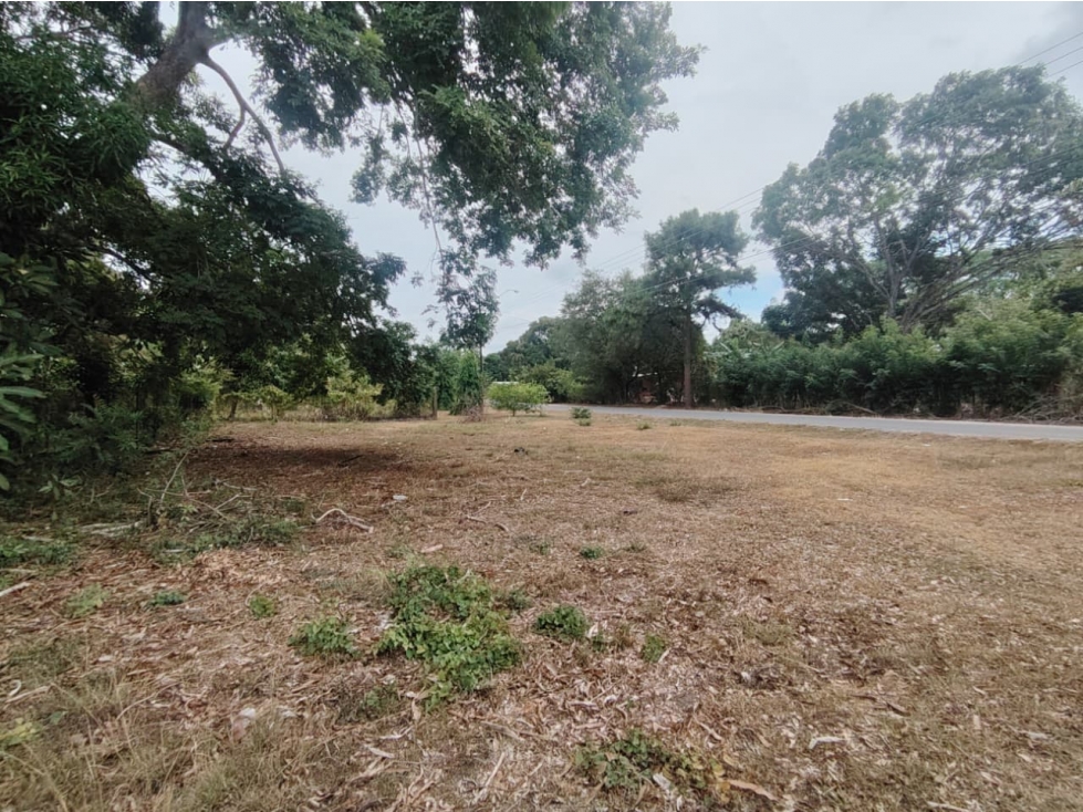 Terreno Comercial en venta cerca a Playa Blanca - Río Hato (DR) - 4