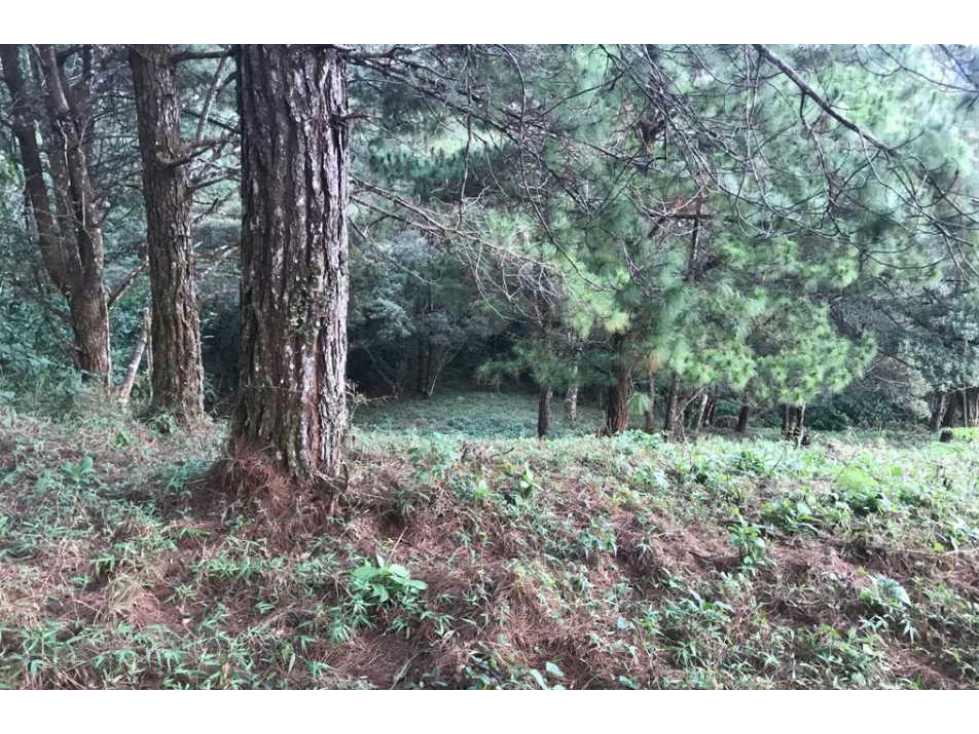 Se Vende Terreno Altos de María 1541.79 Mt2 Titulado - 3