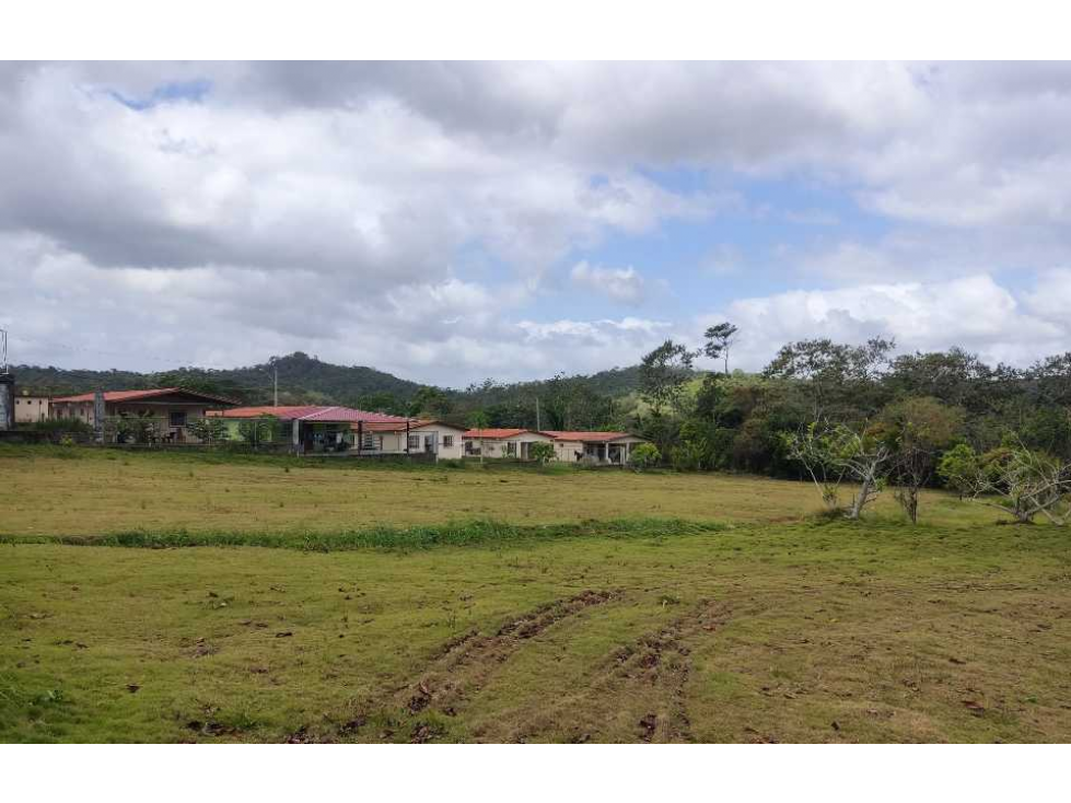 Se Vende Finca Comercial de 16560mt2 Espino La Chorrera - 4