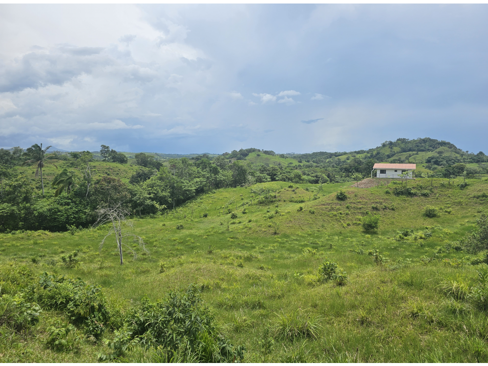 Se Venden Lotes desde 1000mt2 Panamá Oeste - 4