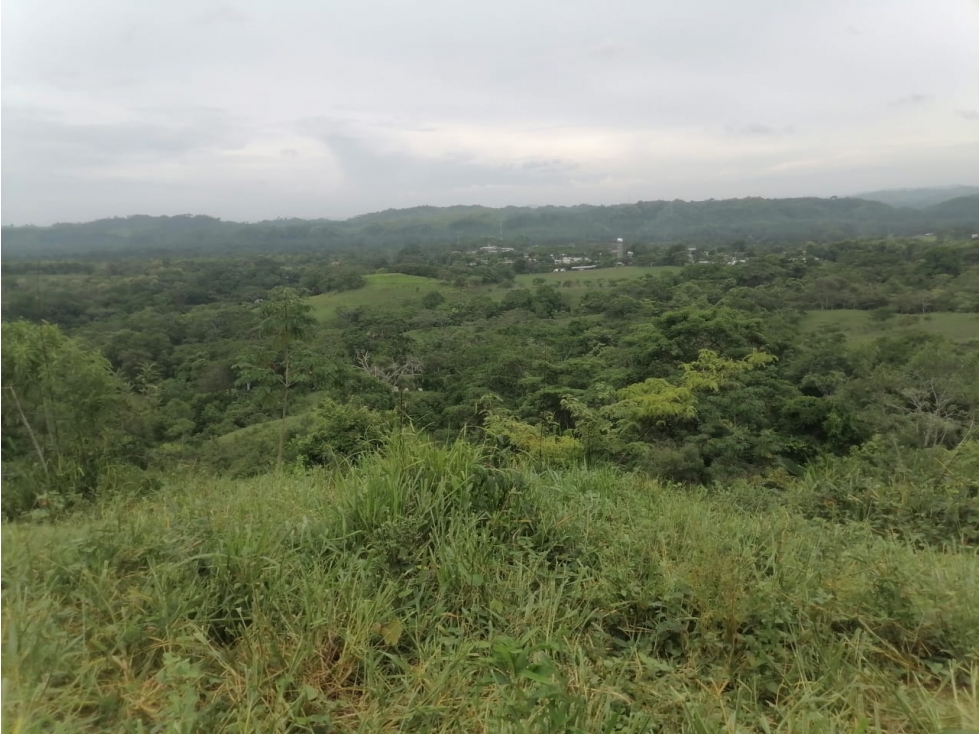 Terreno en venta 50 Has-Cañita de Chepo (BO) - 2