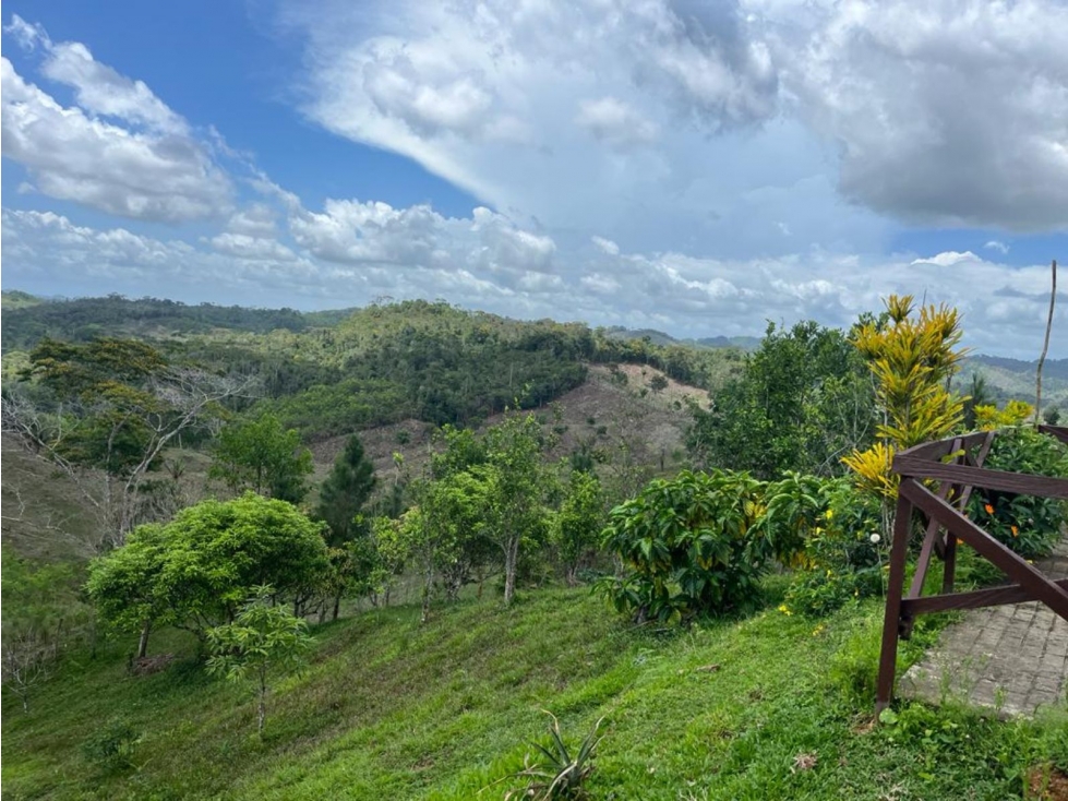 Se vende finca de 40 hectáreas con casa campestre en Capira (DR) - 6