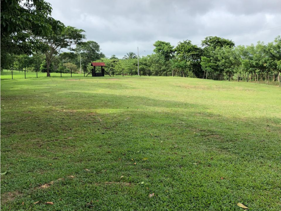 SE VENDEN LOTES DE 2000 MT2 EN CHORRERA (PD) - 1
