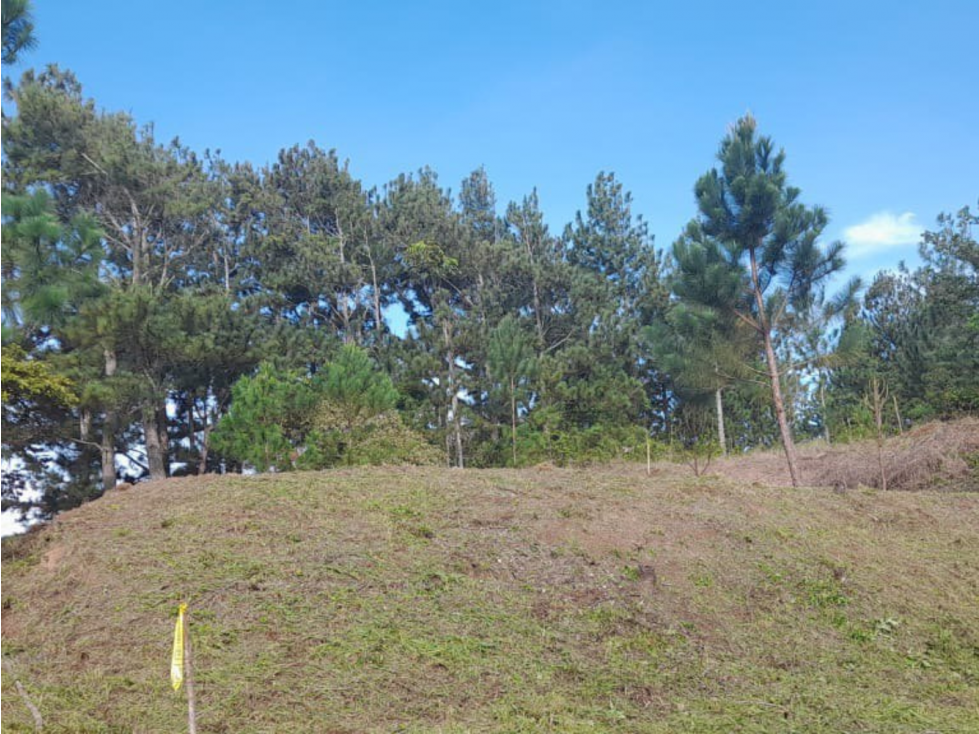 Venta de lote en Altos del María (AA) - 2